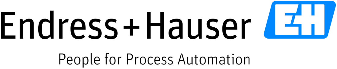 endress hauser